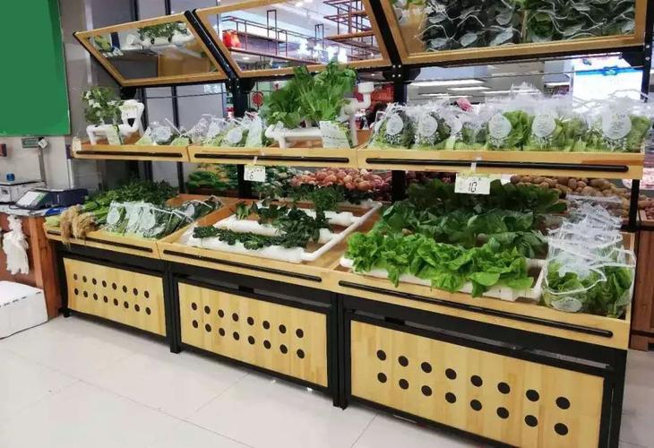 科技赋能的绿色奇迹 走进卓远植物工厂的智能温室新时代
