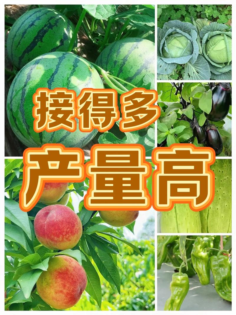 果蔬种植新篇章 燕子农资工厂店的绿色守护