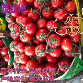 乐山夹江县真诚果蔬种植基地 优质果蔬的源头佳选