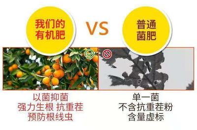 果蔬种植优选 发酵羊粪与生物有机肥的完美融合